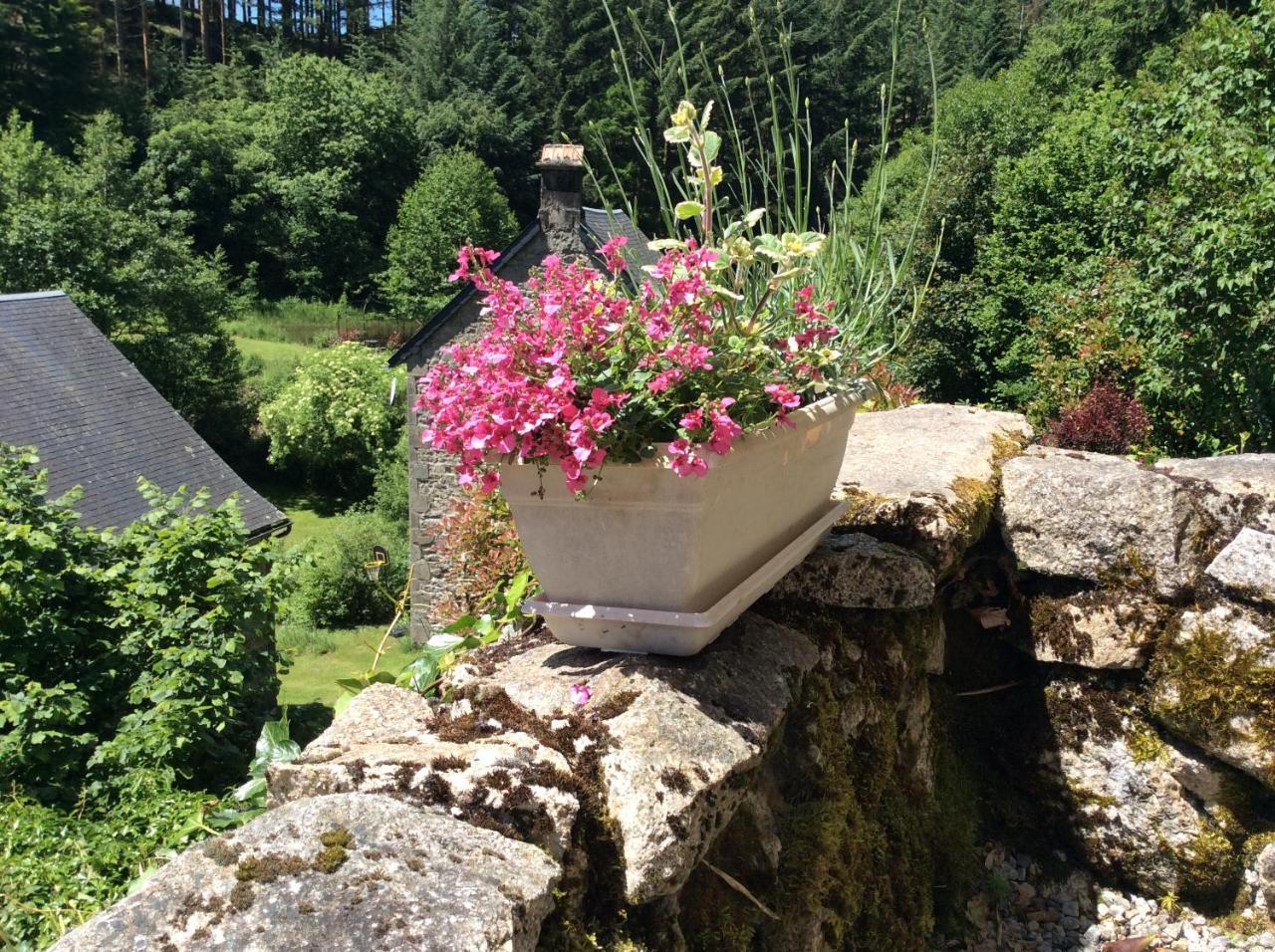 Meymac Le Moulin Des Farges Bed & Breakfast エクステリア 写真