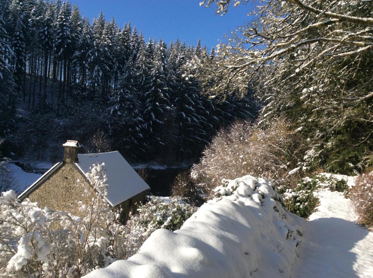 Meymac Le Moulin Des Farges Bed & Breakfast エクステリア 写真